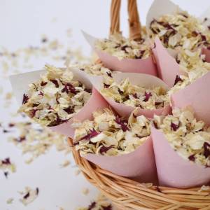 Toronto, Oshawa, Durham, Port Hope and Cobourg Wedding Officiant for commitment ceremony, renewal of vows, marriage, elopement, handfasting, Belleville and Bowmanville wedding venue, Bobcaygeon, Lindsay, Peterborough weddings. Ontario Funeral and Cemetery Celebrant and ceremonies. 