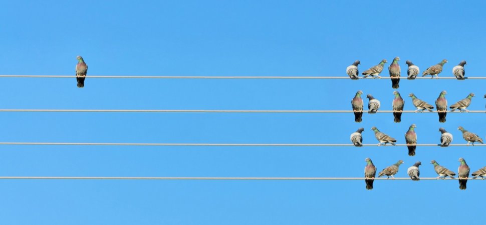 parental-estrangement-wedding-drama-wedding-coach-wedding-planning-planner-coordinator-toronto-durham-oshawa-northumberland-bobcaygeon-officiant-cobourg-ceremony