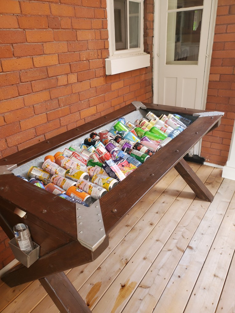 elopement-photographer-cake-baker-wedding-covid-mini-micro-wedding-backyard-ceremony-officiant-planner-coodinator-bowmanville-oshawa-cobourg/