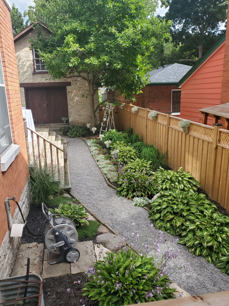 elopement-photographer-cake-baker-wedding-covid-mini-micro-wedding-backyard-ceremony-officiant-planner-coodinator-bowmanville-oshawa-cobourg/