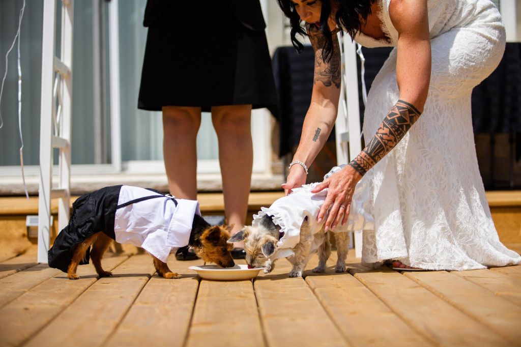 kristy-rob-july-2020-covid-mini-wedding-backyard-ceremony-officiant-planner-coodinator-micro-bowmanville-oshawa-cobourg-port-hope-peterborough-venue-florist