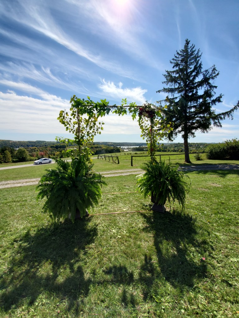elopement-photographer-cake-baker-wedding-covid-mini-micro-wedding-backyard-ceremony-officiant-planner-coodinator-bowmanville-oshawa-cobourg-peterborough