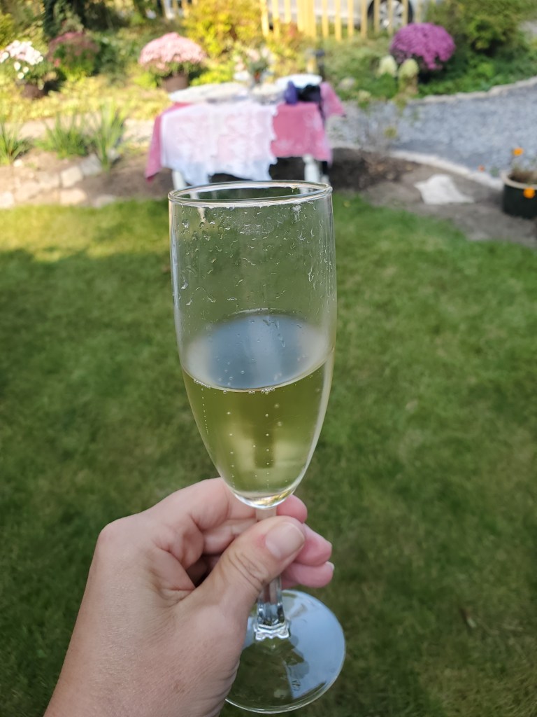 elopement-photographer-cake-baker-wedding-covid-mini-micro-wedding-backyard-ceremony-officiant-planner-coodinator-bowmanville-oshawa