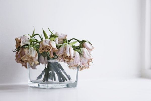 common-wedding-flower-mistakes-wedding-officiant-elopment-ceremony-elope-wedding-coach-planning-planner-coordinator-peterborough-durham-region-port-hope-cobourg